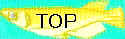 mdkswtop.jpg (3685 oCg)