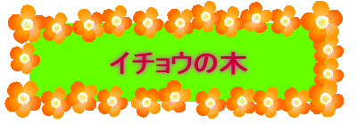 C`E̖