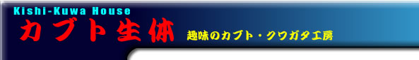 uCONTENTS CATEGORY TITLE-1v^Cg