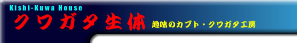 uCONTENTS CATEGORY TITLE-2v^Cg