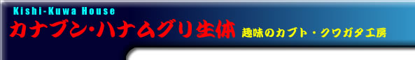 uCONTENTS CATEGORY TITLE-3v^Cg