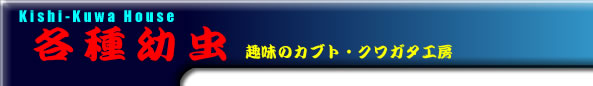 uCONTENTS CATEGORY TITLE-4v^Cg