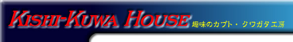 uYour Web Site Title Spacev^Cg