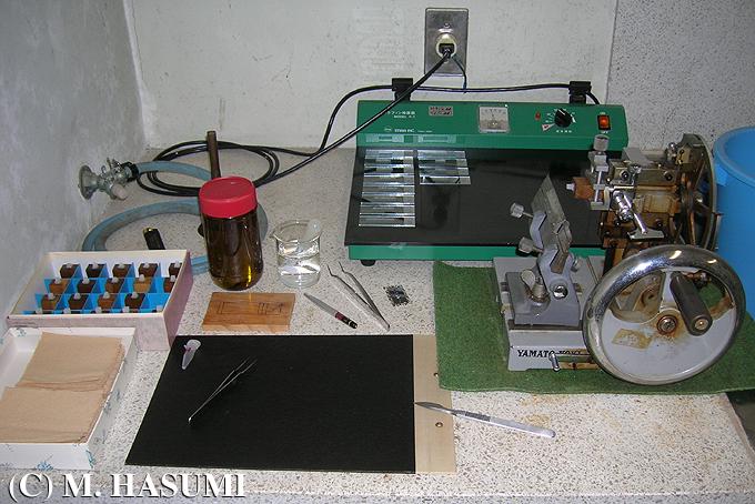 Sectioning with Microtome