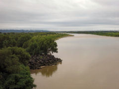 河川の幅が広い天竜川下流