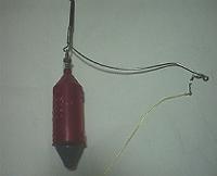 sunneyf-w200.jpg (3366 oCg)