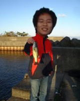 T@KO