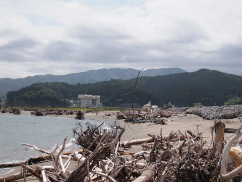 写真　高田松原　散在する倒木