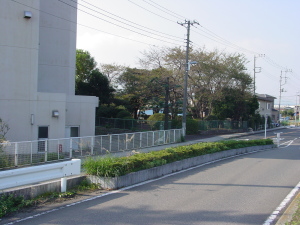 相川中学校北側の緑地　記念碑所在箇所