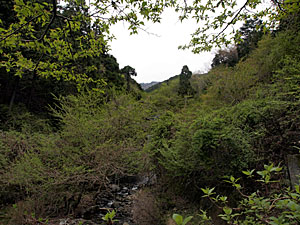 写真1　ヤビツ堰堤（ヤビツ峠に向かって金目川を横断する箇所）付近から上流方向を望む