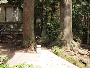 写真2　供養塔は石段の右脇にある