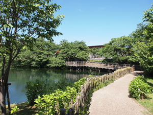 写真4　今泉名水桜公園と太岳院