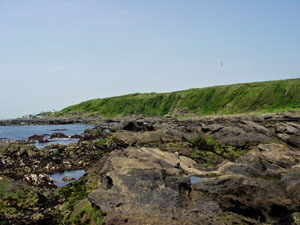写真3　波食台と海食崖（段丘崖）