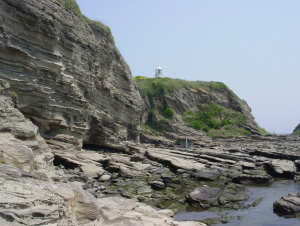 剱崎灯台附近の海食崖