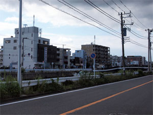 掘割川左岸よりより旧横浜刑務所跡地方向を望む