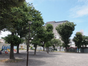 写真6　中村公園と中村川対岸の横浜市立大学市民総合医療センター