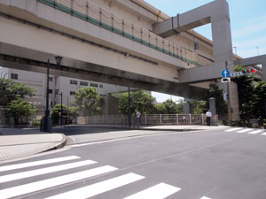 写真1　中村川に架かる道場（どうじょう）橋　高架は高速神奈川3号狩場線で、中村川の上をこれに沿って延びている