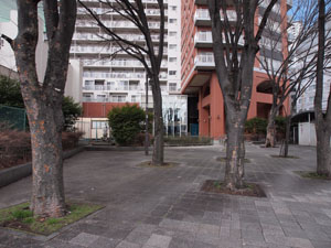 写真1　戸部警察署横浜駅東口交番横の広場