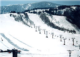 天元 台 スキー 場