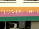 山形鉄道フラワー長井線・フラワーライナー