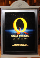 Cirque du Soleil "O"