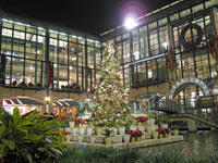 リバーセンターのクリスマスツリー