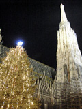 夜のシュテファンス寺院とクリスマスツリー