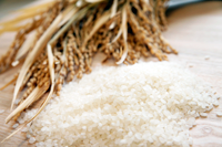 無農薬米「つがるロマン」イメージ