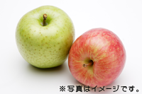 りんごサンプルイメージ