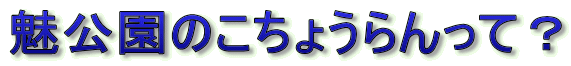 ̂傤āH
