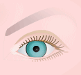 eye
