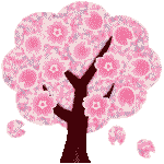 duplicate sakura