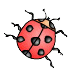mousetentoumushi