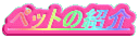 ybg̏Љ
