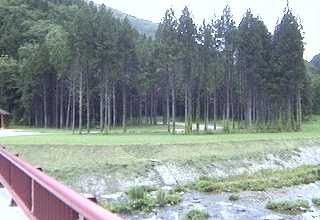 ��z���Ƀe���g�T�C�g���̂���