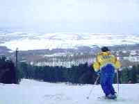 �V���[�g�X�L�[�Ō��C�I