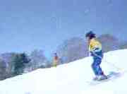 �V���[�g�X�L�[��