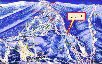 ���������ꂾ�I�I