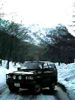 ��n����t��