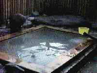 �D���E�����I�V