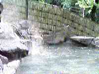 �Ƃ��Ƃ�R�E����