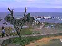 �s�V�s���Ŕ�