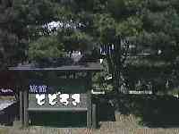 �Ƃǂ낫����