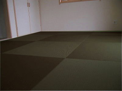 カラー琉球畳・へりなし畳（ポリプロピレン製）ブラック色