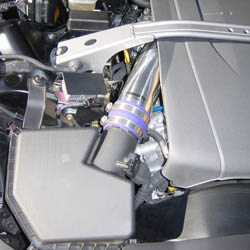 �v���~�A���T�N�V����