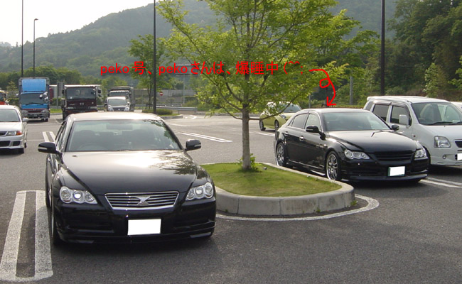 peko���u������