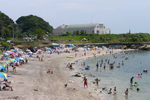 浜辺と観音崎博物館