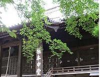 上野寛永寺根本中堂