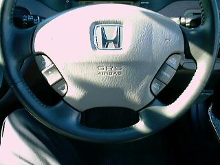 hgbb