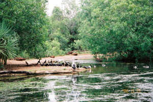 Territory Wildlife Park